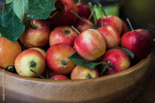 Fresh harvest of apples
