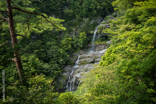 程野の滝 東滝（高知県いの町）