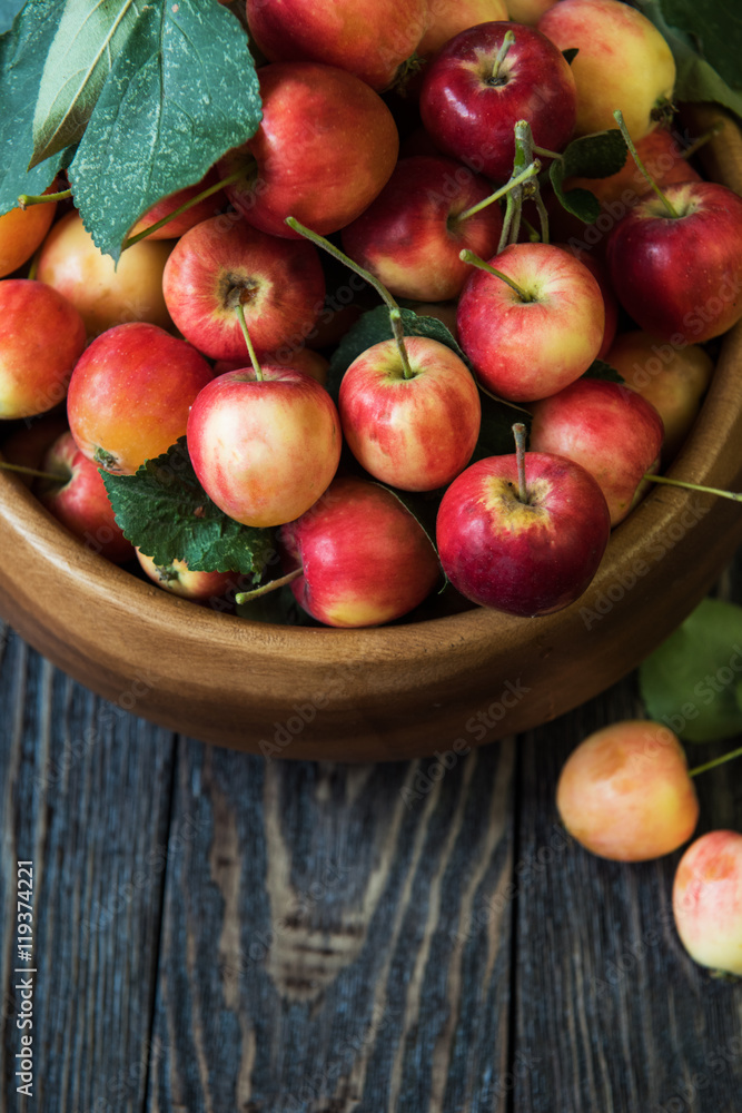 Fresh harvest of apples Fresh harvest of apples
