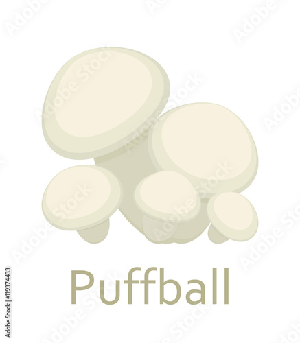 Edible mushrooms flat icon. Puffball. Vector illustration.