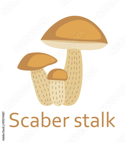 Edible mushrooms flat icon. Scaber stalk. Vector illustration.