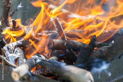 Bonfire in the forest