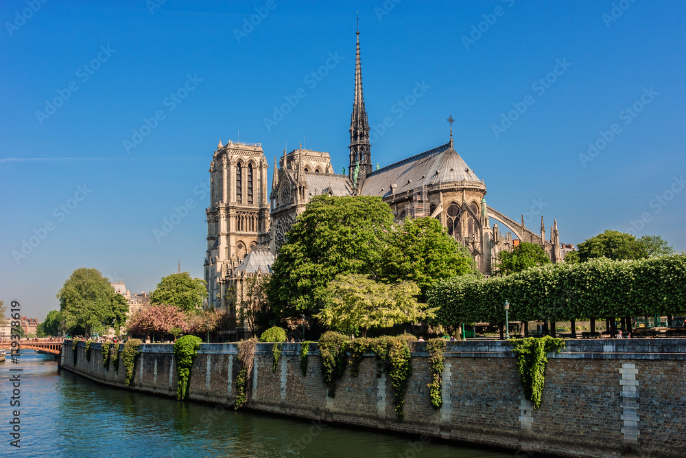Naklejka premium Roman Catholic Cathedral Notre Dame de Paris at Sunset Paris.