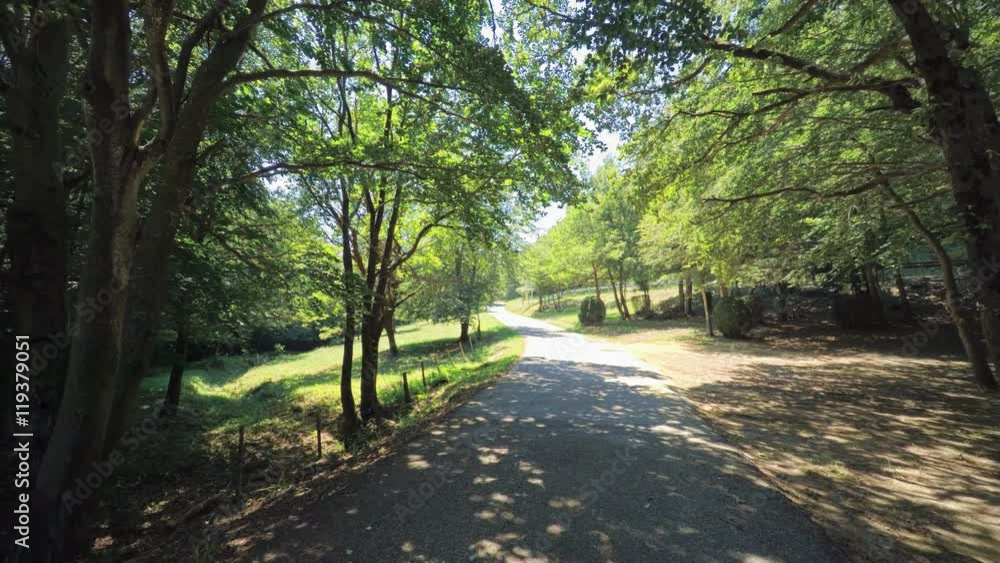 BESALU CATALONIA SPAIN - JULY 2016: Smooth steady camera shot slides along dirt country european road in mountain village forest with fields, bushes and trees, wide panoramic lens, sun is shining. BESALU CATALONIA SPAIN - JULY 2016: Smooth steady camera shot slides along dirt country european road in mountain village forest with fields, bushes and trees, wide panoramic lens, sun is shining.