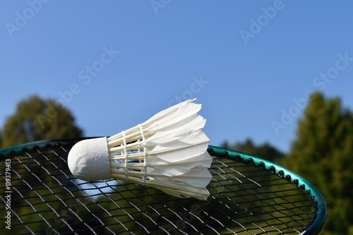 One shuttlecock and badminton racket outdoors on green trees