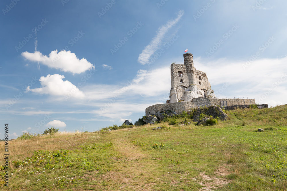 Scenic view of the castle ruins in Mirow village. Poland