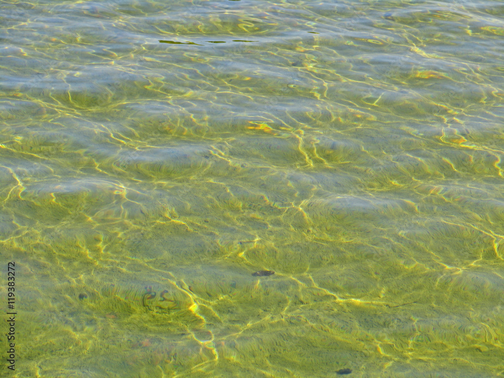 Smooth ripples, waves on surface of transparent green water