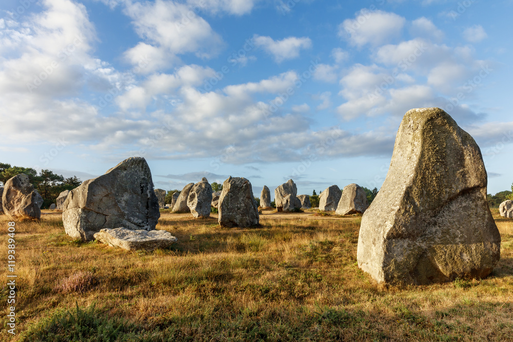 The alignments of Carnac, Stone age, France The alignments of Carnac, Stone age, France