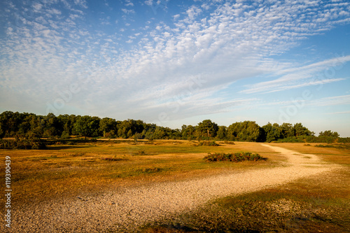 path on heathland common in morning sun