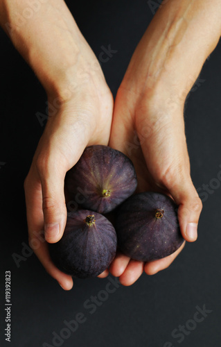 Hands holding figs close up isolated beautiful photo