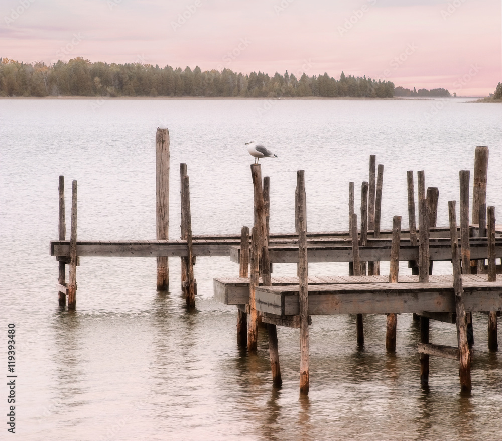 Lake Huron, Gull And Dock