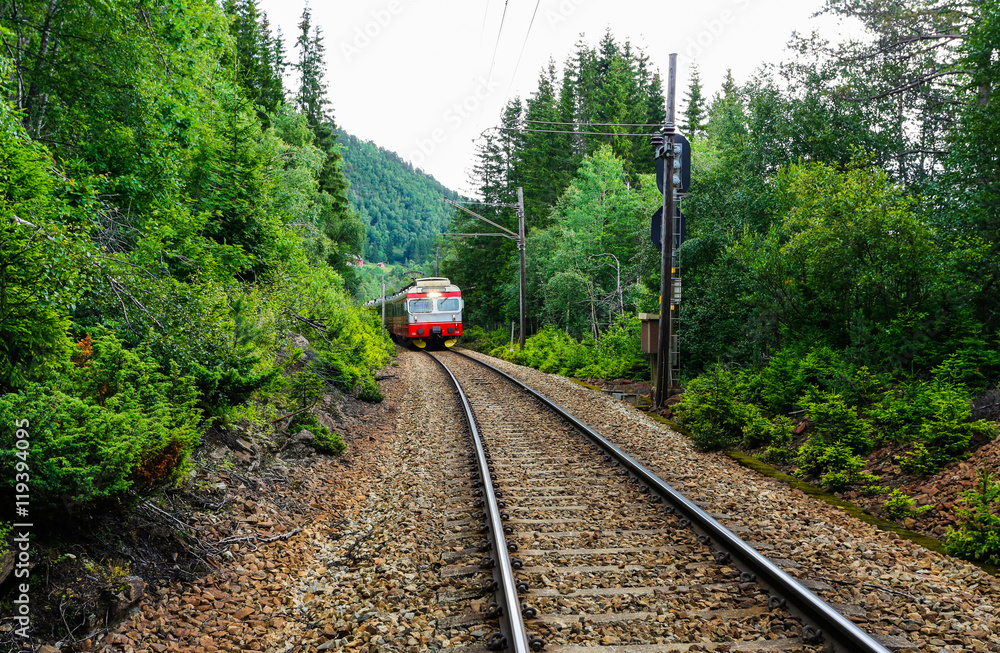 Fototapeta premium Oslo - Bergen train going through mountains.
