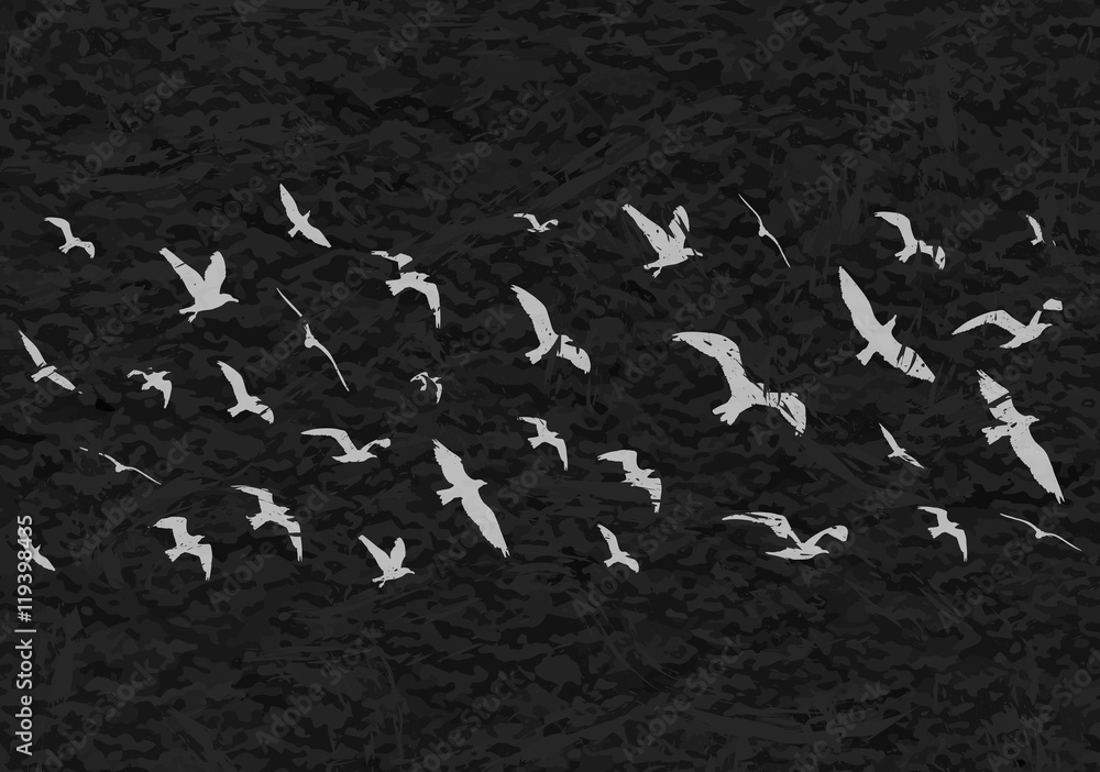 Fototapeta premium Flying birds silhouettes on black grunge background. Vector illustration
