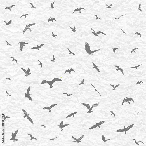 Flying birds silhouettes on white grunge background. Vector illustration
