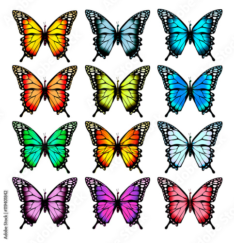 Big collection of colorful butterflies. Vector © ecco
