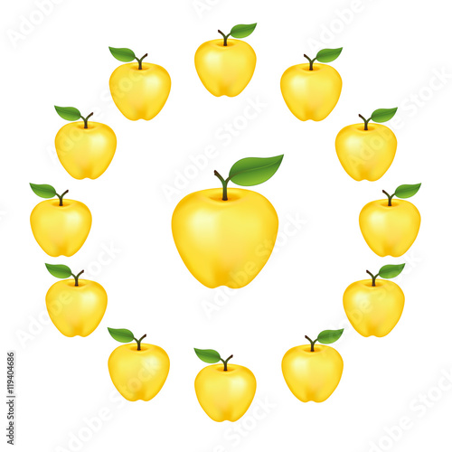Apples in a wheel  Golden Delicious  fresh  natural  ripe  orchard garden fruit in a circle  isolated on a white background. 