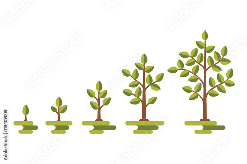 Green tree growth vector diagram
