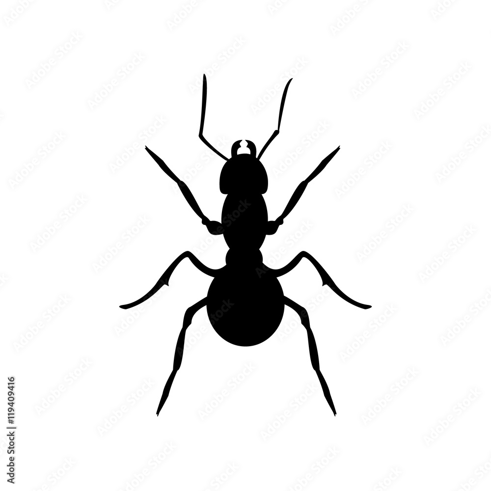 Ant black silhouette Ant black silhouette