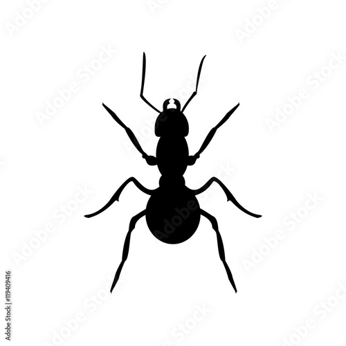 Ant black silhouette © viktorijareut