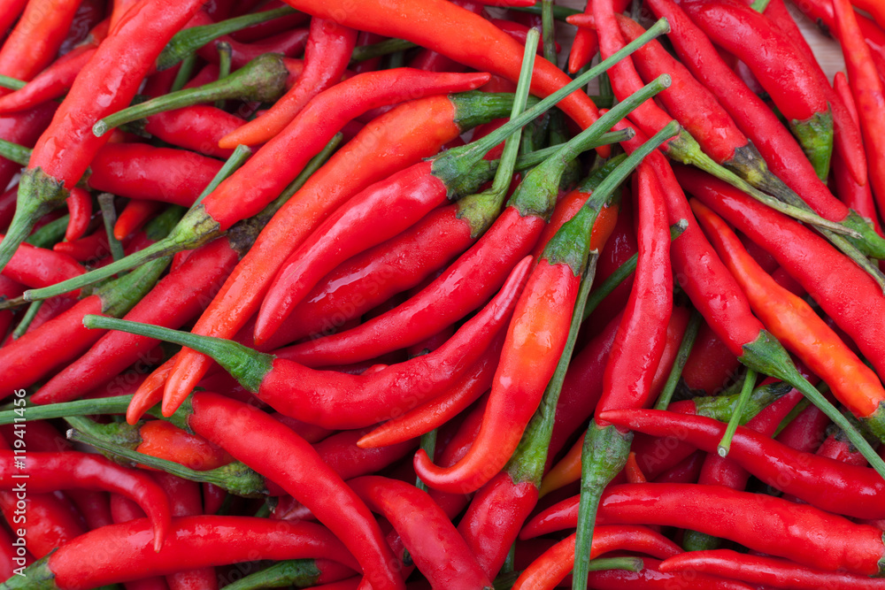red chili or chilli cayenne pepper..