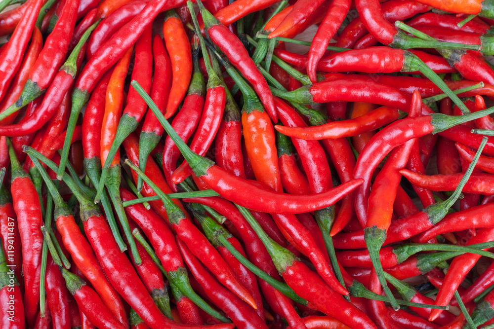 red chili or chilli cayenne pepper red chili or chilli cayenne pepper