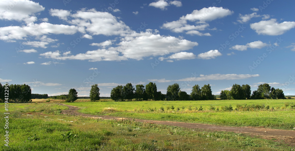 Fototapeta premium walk in the summer on a beautiful and vast fields