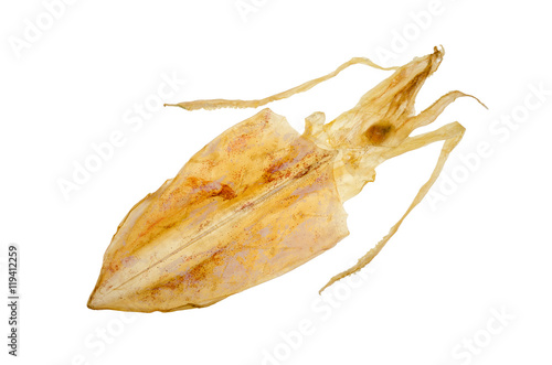 close up of dried squid isolate on white background.