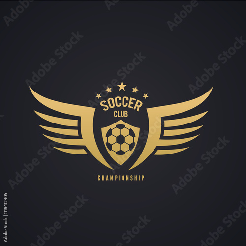 Football college logo,football logo,vector logo template