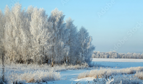 Wallpaper Mural sunrise in winter Torontodigital.ca