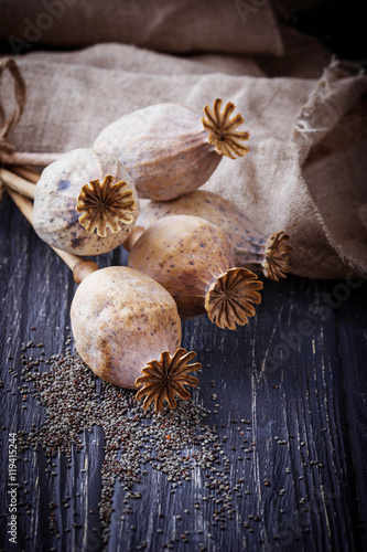Poppy seeds and heads on wooden background