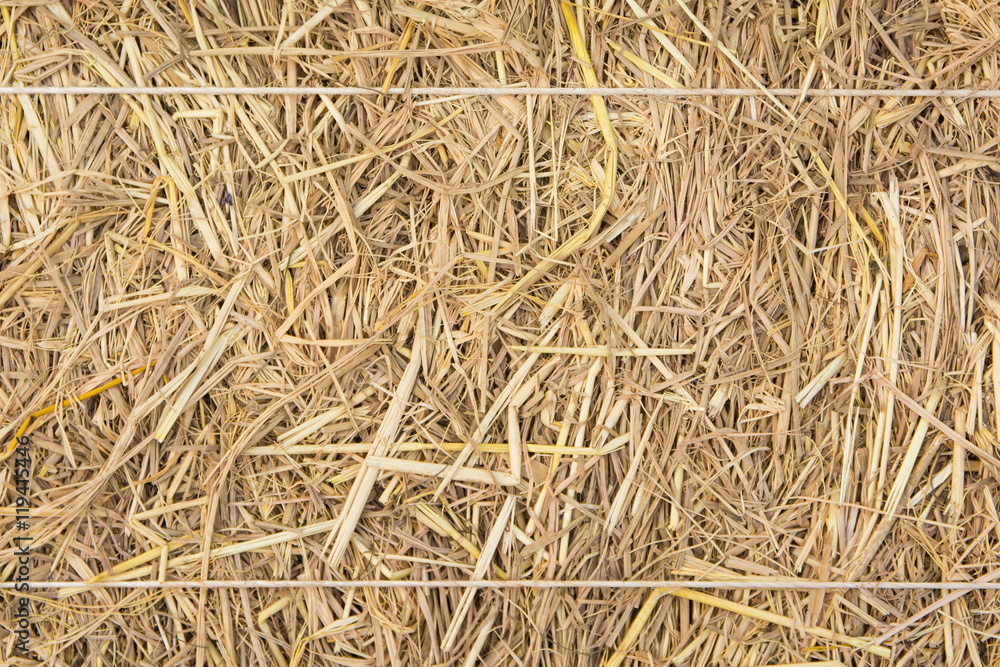 Dry straw Background