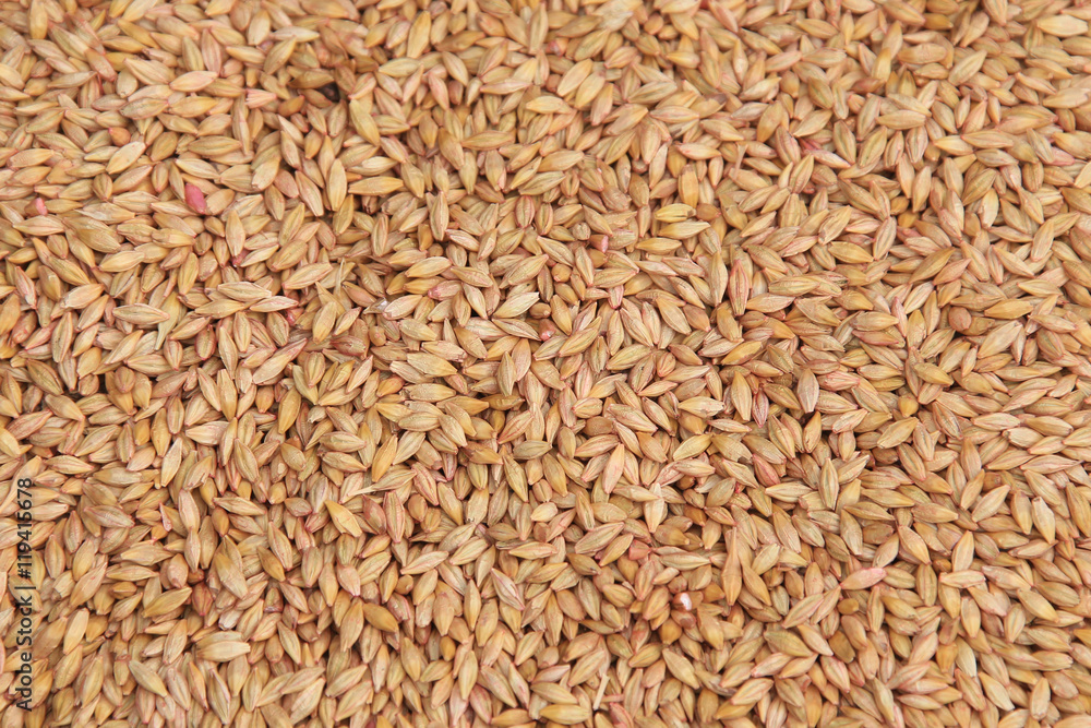 selected grain selected grain