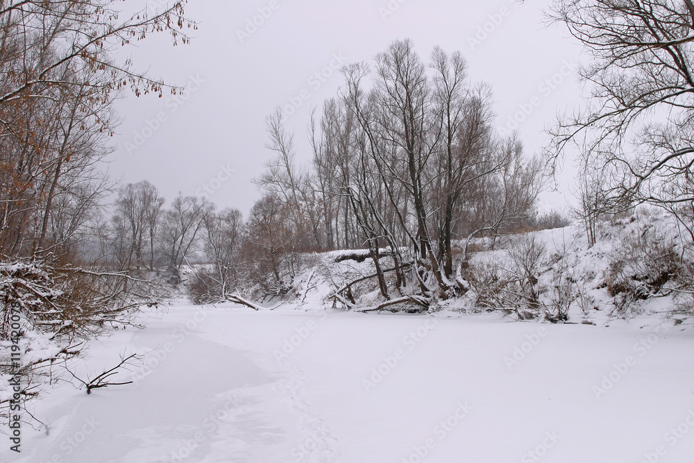 Fototapeta premium Winter on the river