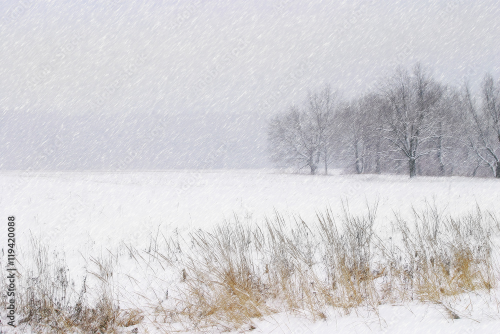 snowfall snowfall