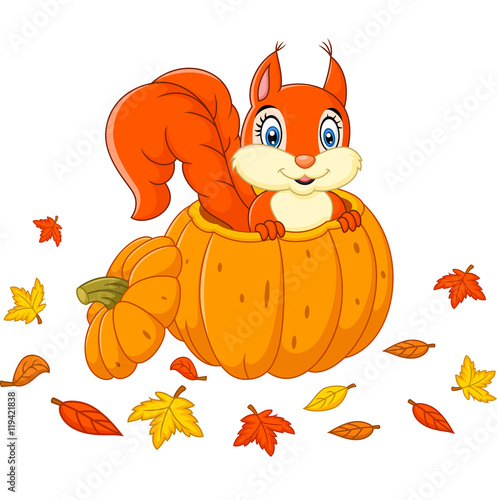 Cute squirrel in a pumpkin