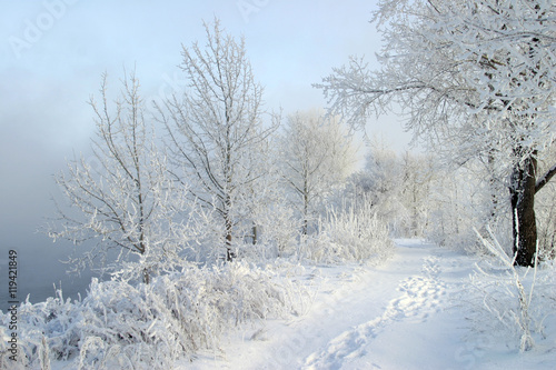 Wallpaper Mural winter landscape Torontodigital.ca