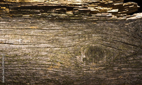 closeup of old wood texture photo