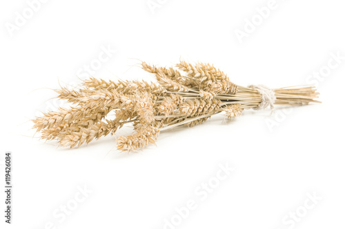 wheat bunch isolated on white background