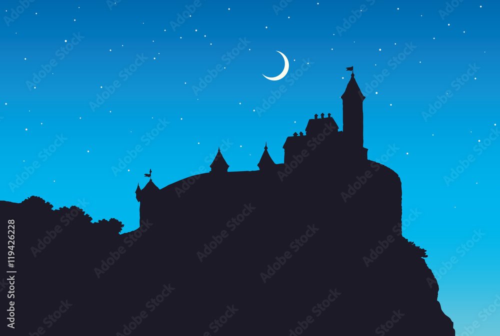 Fototapeta premium Castle Romanesque style. Vector drawing