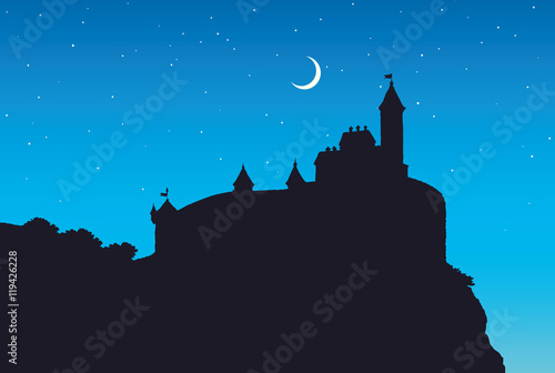 Castle Romanesque style. Vector drawing