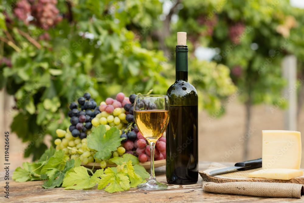 Obraz premium White Wine