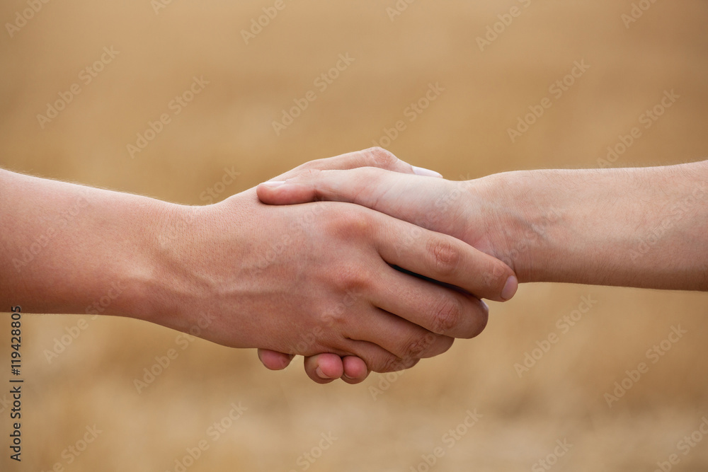 Two men farmers shake his hand against the background of the field. Two men farmers shake his hand against the background of the field.