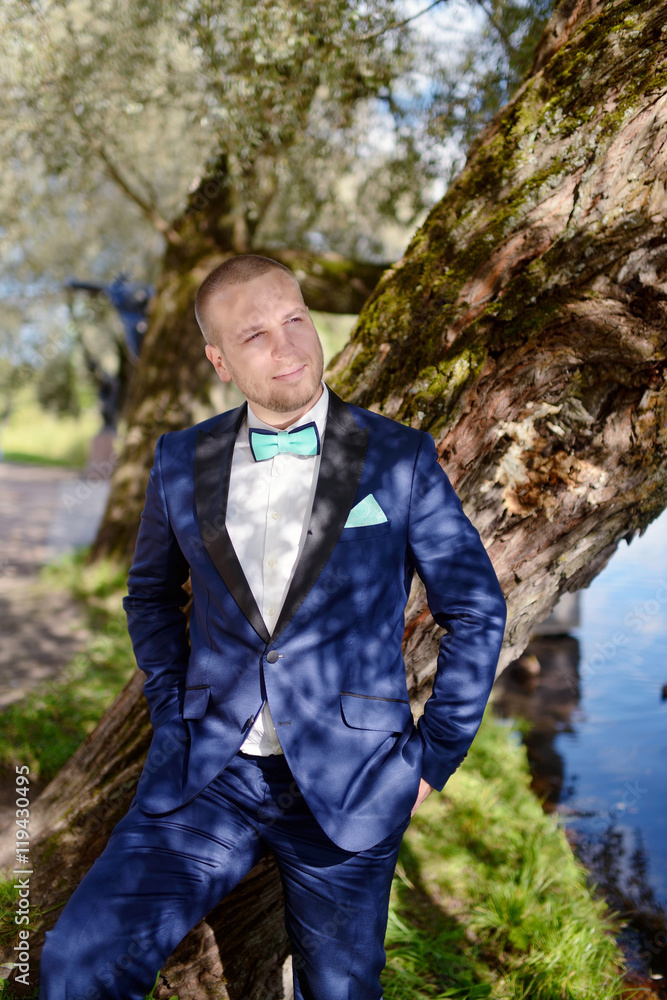 Handsome groom in suit in the nature. Male portrait in the park. Beautiful model boy in colorful wedding clothes. Man is posing. Handsome guy outdoors Handsome groom in suit in the nature. Male portrait in the park. Beautiful model boy in colorful wedding clothes. Man is posing. Handsome guy outdoors
