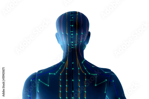 Konstfotografi Medical acupuncture model of human on white background