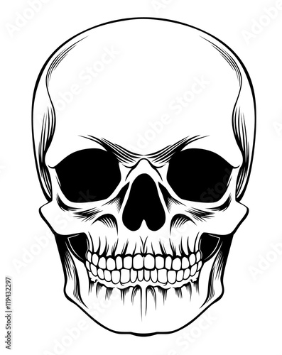 Black and white human skull