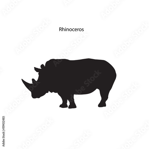 Rhinoceros