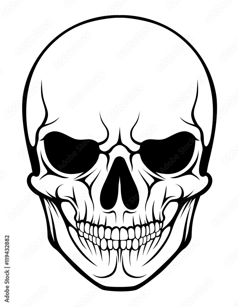 Stylized human skull Stylized human skull