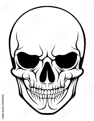 Stylized human skull