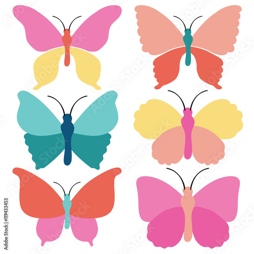 Cute butterfly collection in vector design