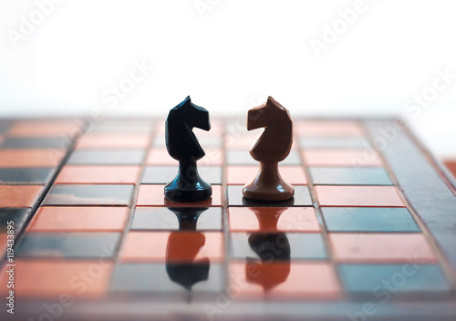 Fotografi Chess is an strategy and intelligence board game originated in India that is played between two people on a chessboard